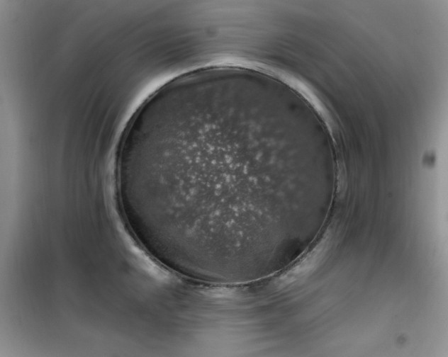 X0000100951048200807081214