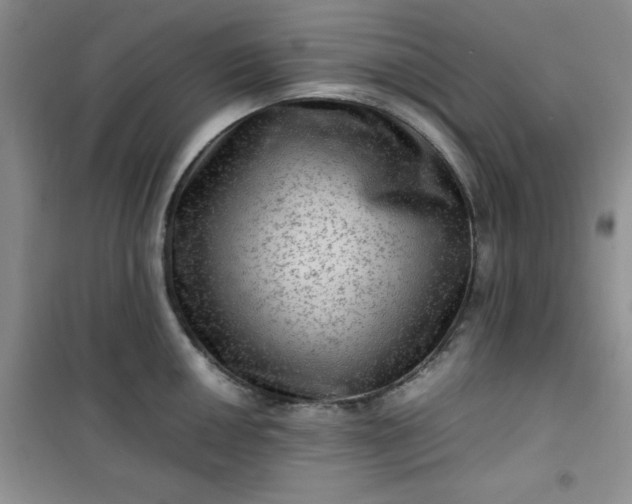 X0000100951050200807081214