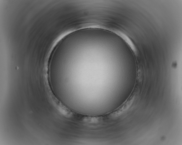 X0000100951051200807081214