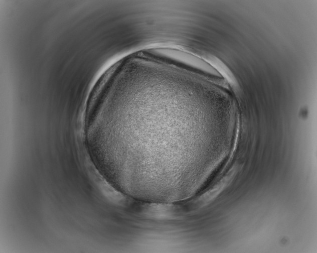 X0000100951052200807081214