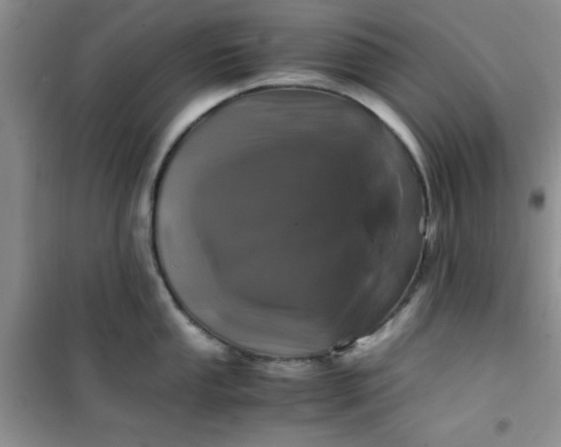 X0000100951053200807081214