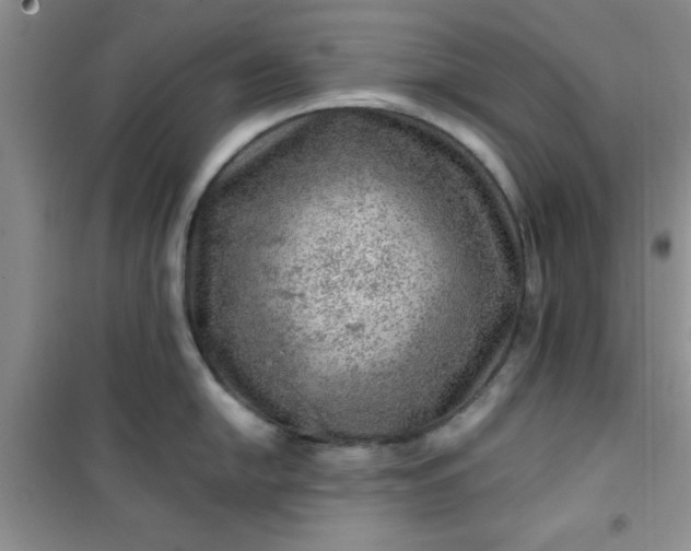 X0000100951054200807081214