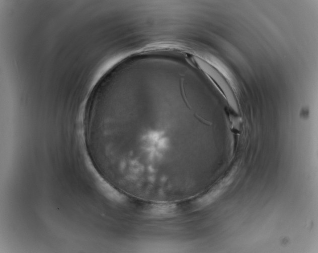 X0000100951055200807081214