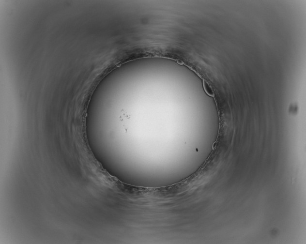 X0000100951057200807081213