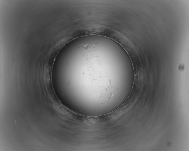 X0000100951058200807081213