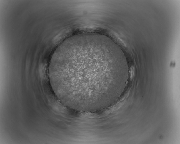 X0000100951059200807081213