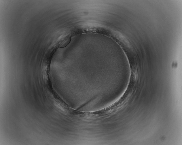 X0000100951060200807081213