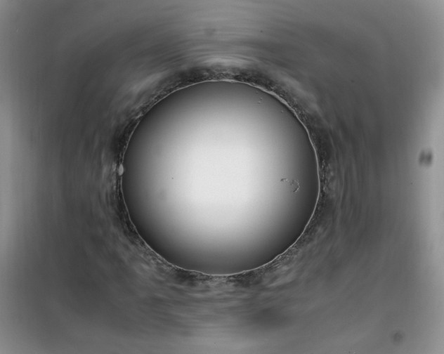 X0000100951061200807081213