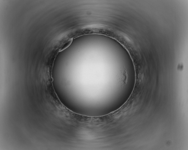 X0000100951062200807081213