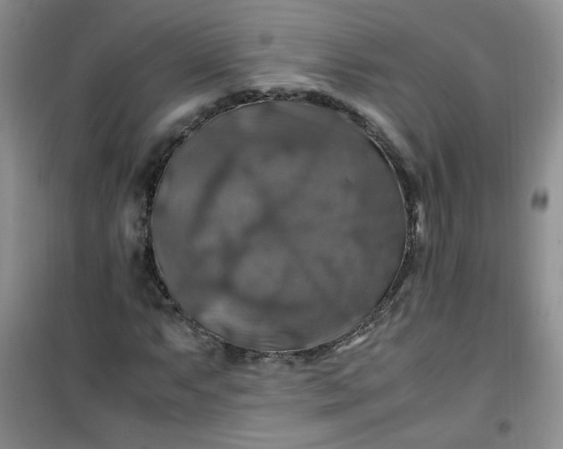 X0000100951063200807081213