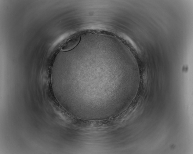 X0000100951064200807081213