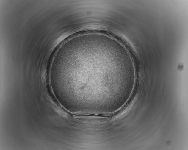 X0000100951065200807081213