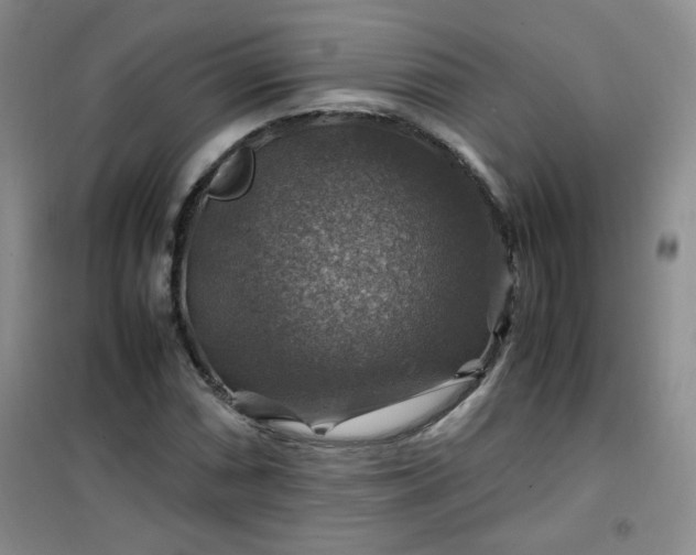 X0000100951066200807081213