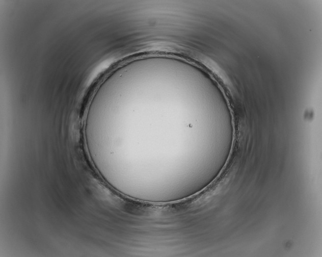 X0000100951067200807081213