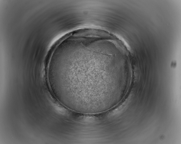 X0000100951070200807081213