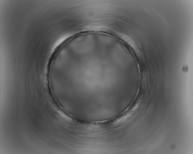 X0000100951071200807081213