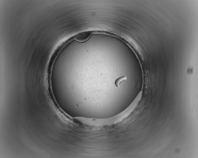 X0000100951072200807081213