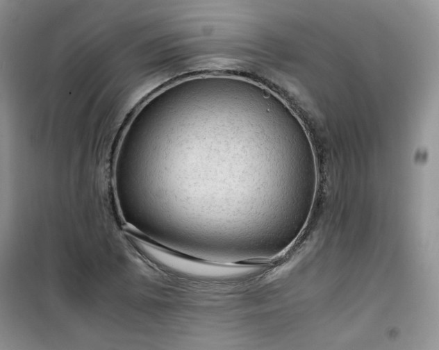 X0000100951073200807081213