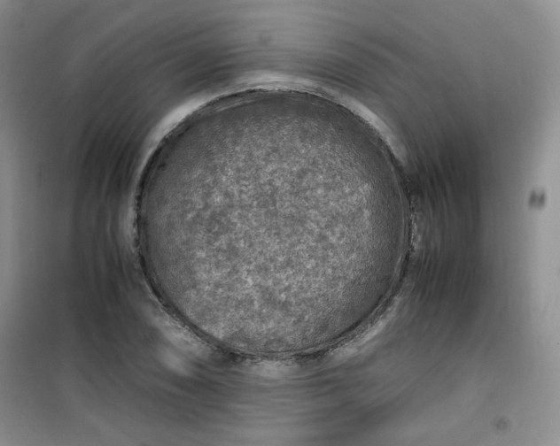 X0000100951074200807081213