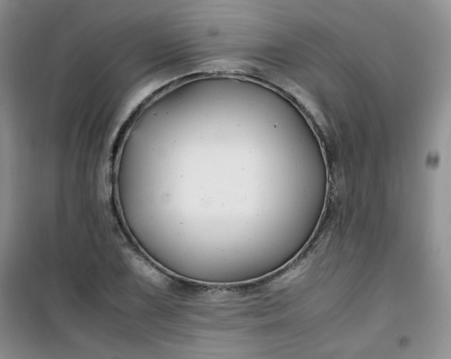 X0000100951075200807081213