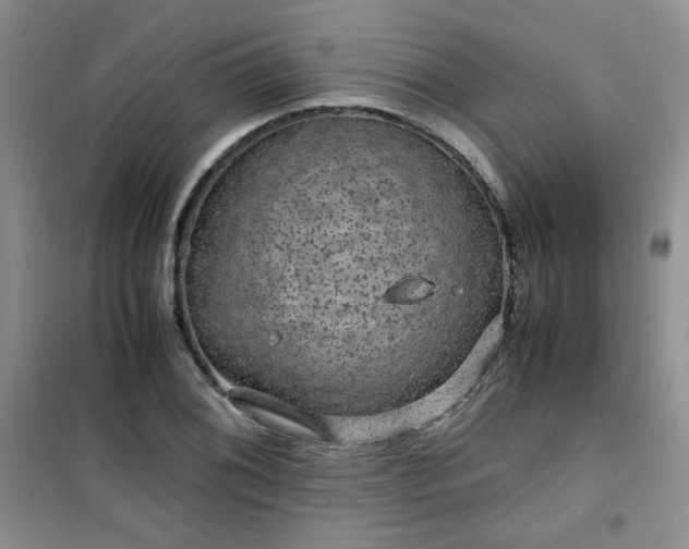 X0000100951076200807081213