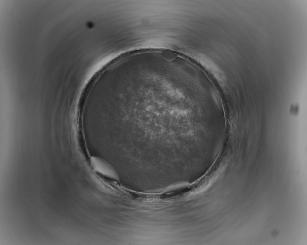 X0000100951077200807081213