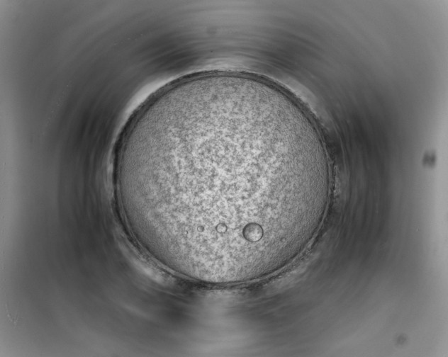 X0000100951078200807081213