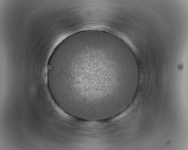 X0000100951079200807081213