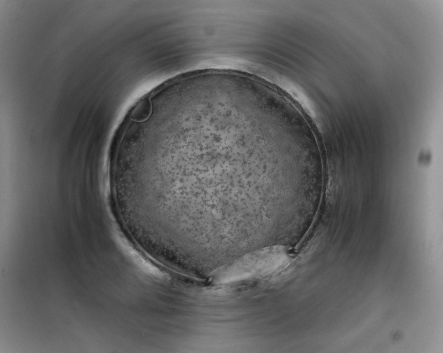 X0000100951080200807081213