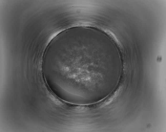 X0000100951081200807081212