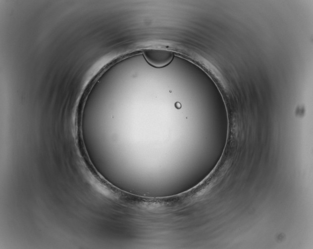 X0000100951082200807081212