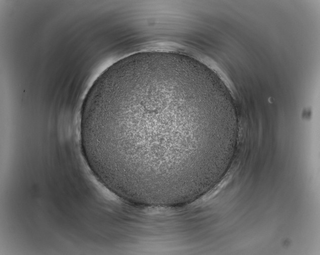 X0000100951083200807081212