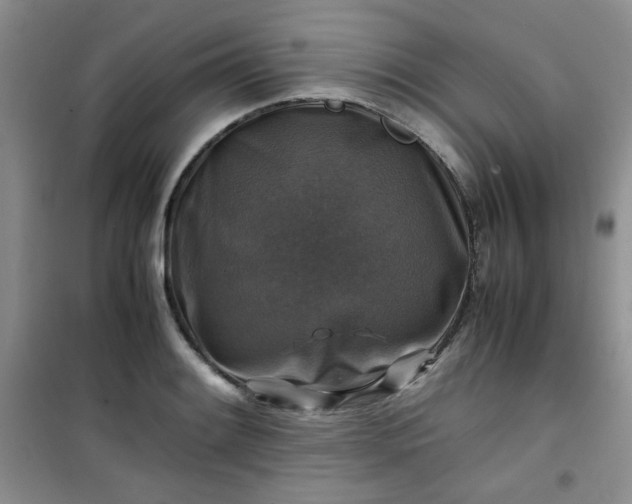 X0000100951084200807081212