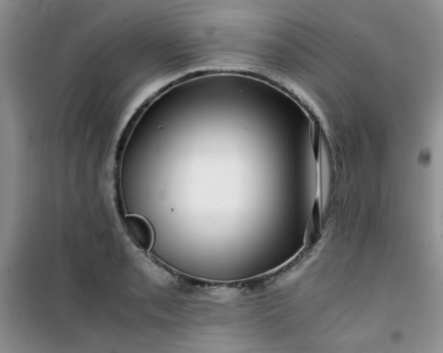 X0000100951085200807081212