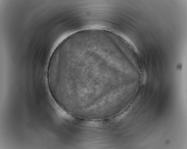 X0000100951086200807081212