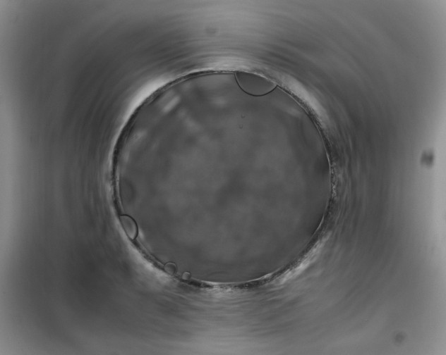 X0000100951087200807081212