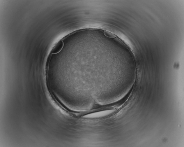 X0000100951088200807081212