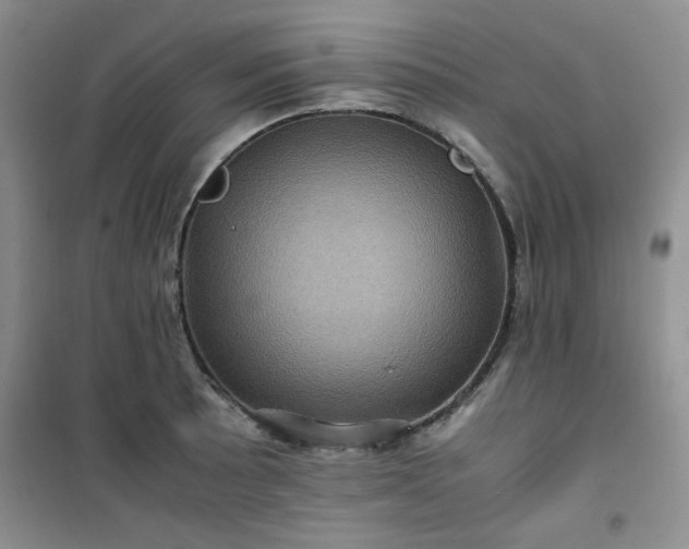 X0000100951089200807081212