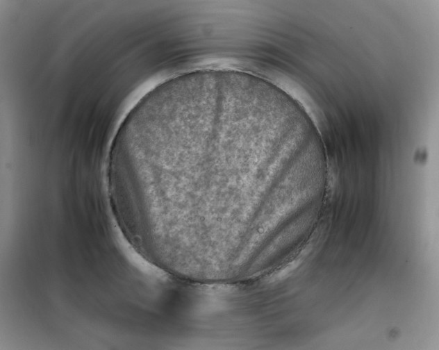 X0000100951090200807081212