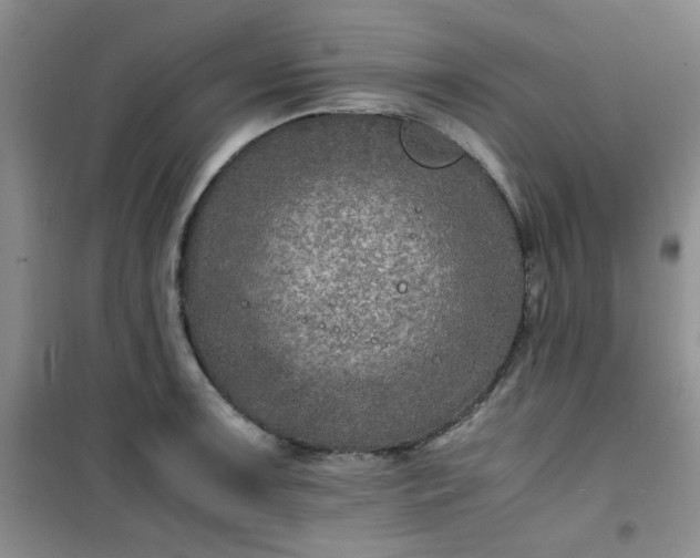 X0000100951091200807081212