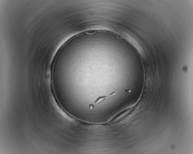 X0000100951092200807081212