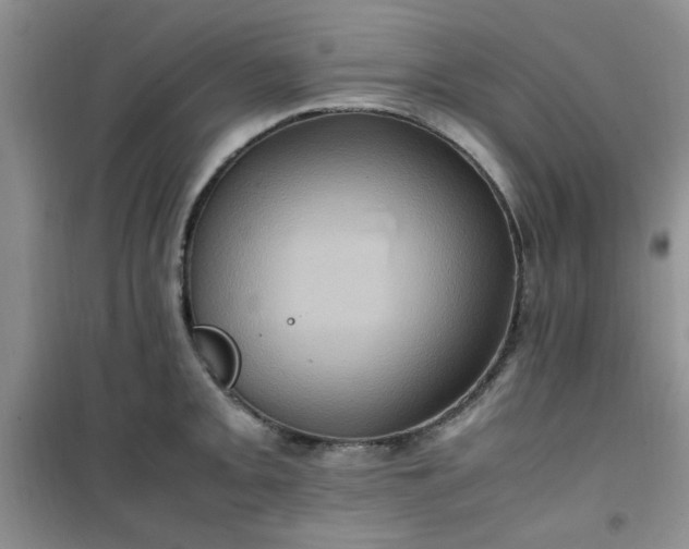 X0000100951093200807081212