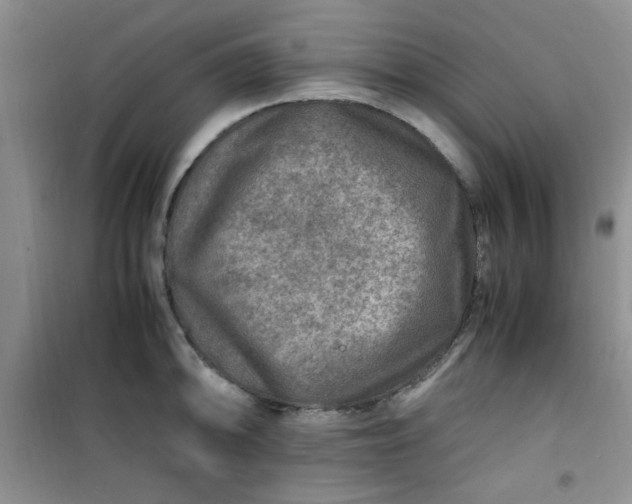 X0000100951094200807081212