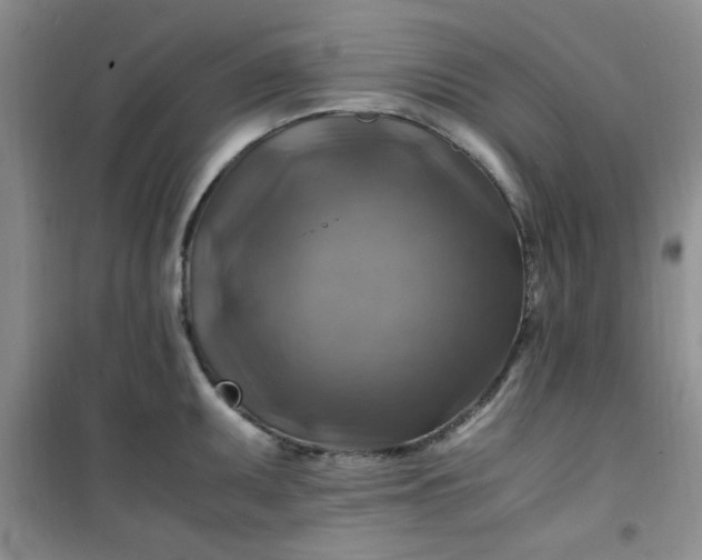 X0000100951095200807081212