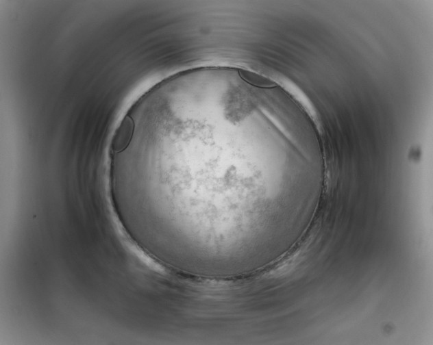 X0000100951096200807081212