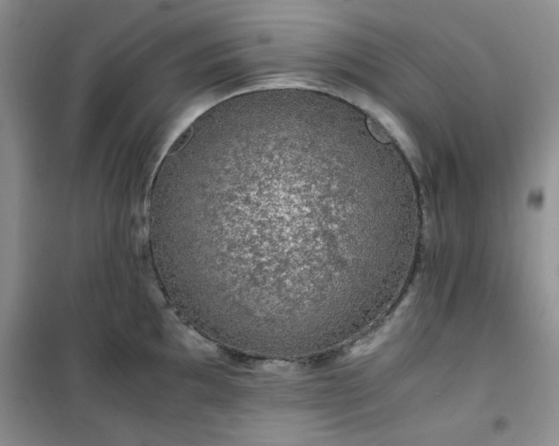 X0000100951097200807081212