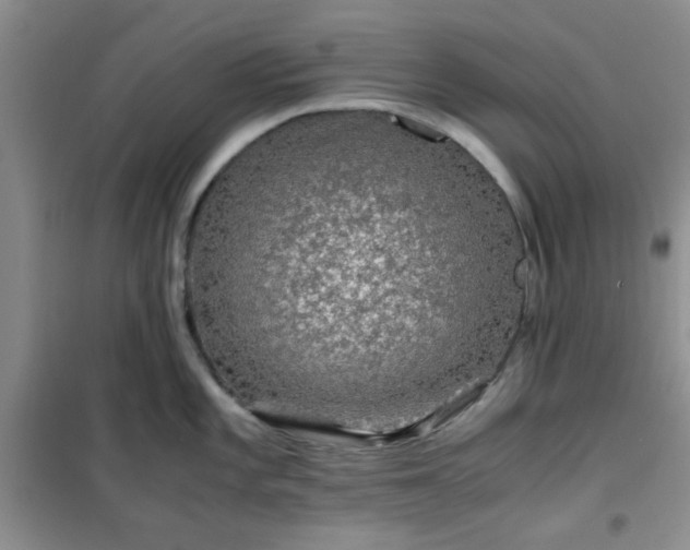 X0000100951101200807081212