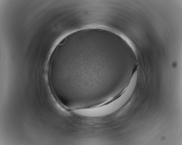 X0000100951102200807081212