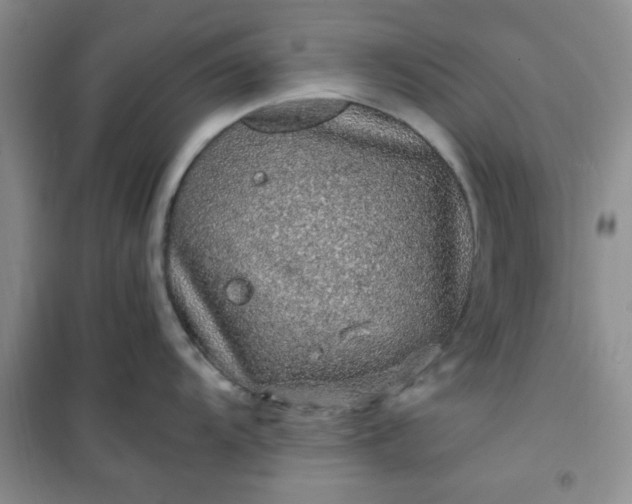 X0000100951104200807081212