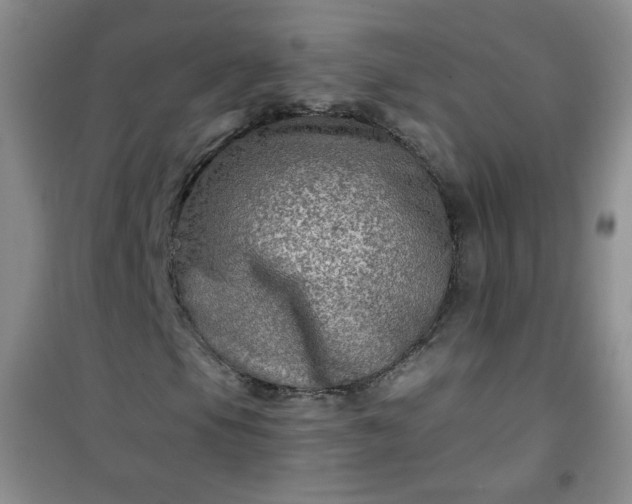 X0000100951105200807081211